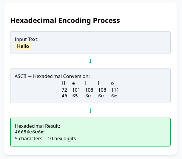 Hexadecimal encoding example showing text to hex conversion